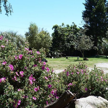 Fernwood Holiday Park Motueka Quarto foto