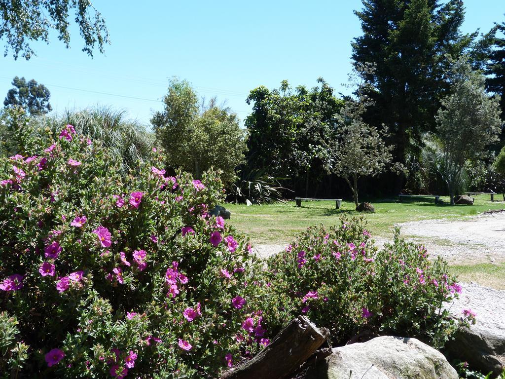 Fernwood Holiday Park Motueka Quarto foto