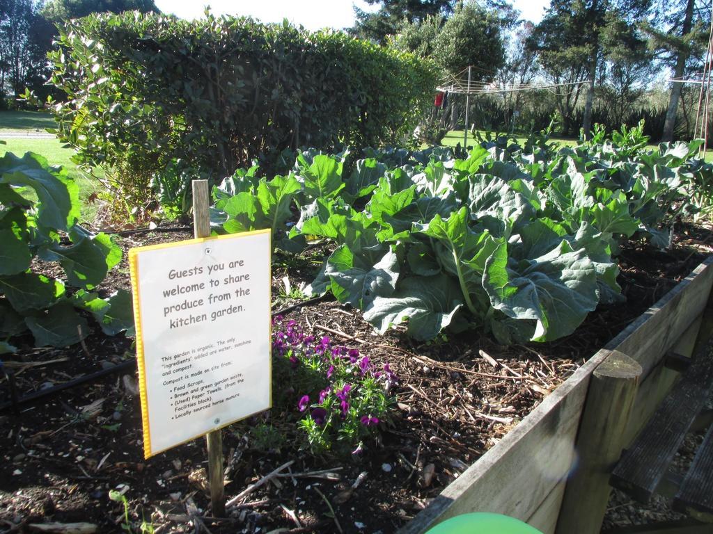 Fernwood Holiday Park Motueka Quarto foto